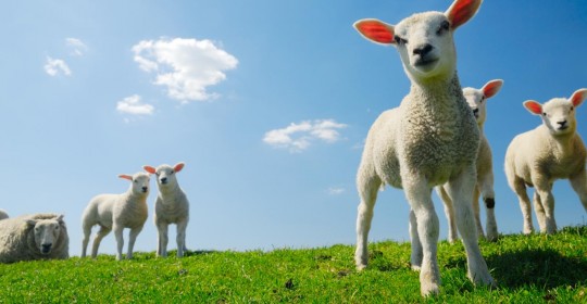 Gewijzigde openingstijden feestdagen